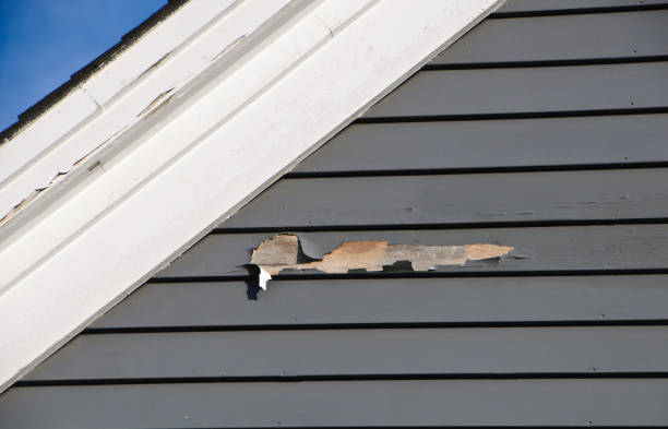 Best Fascia and Soffit Installation  in Adelanto, CA