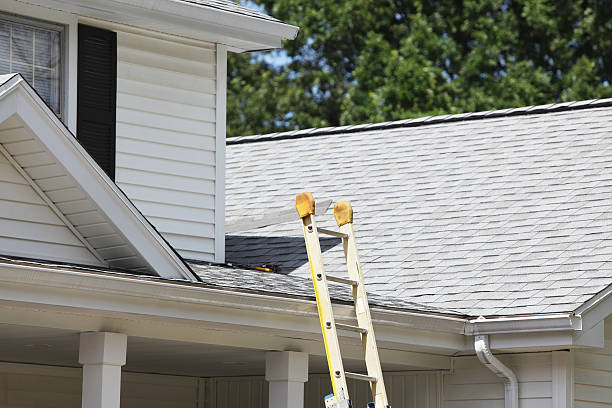 Best Fiber Cement Siding Installation  in Adelanto, CA